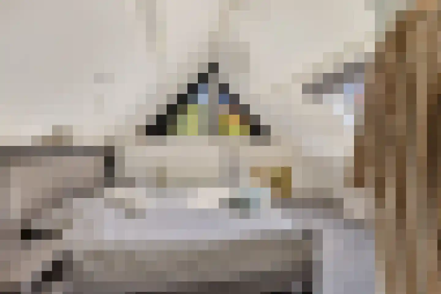 Wethouder Hamsterlaan 17 Leek thumbnail 35
