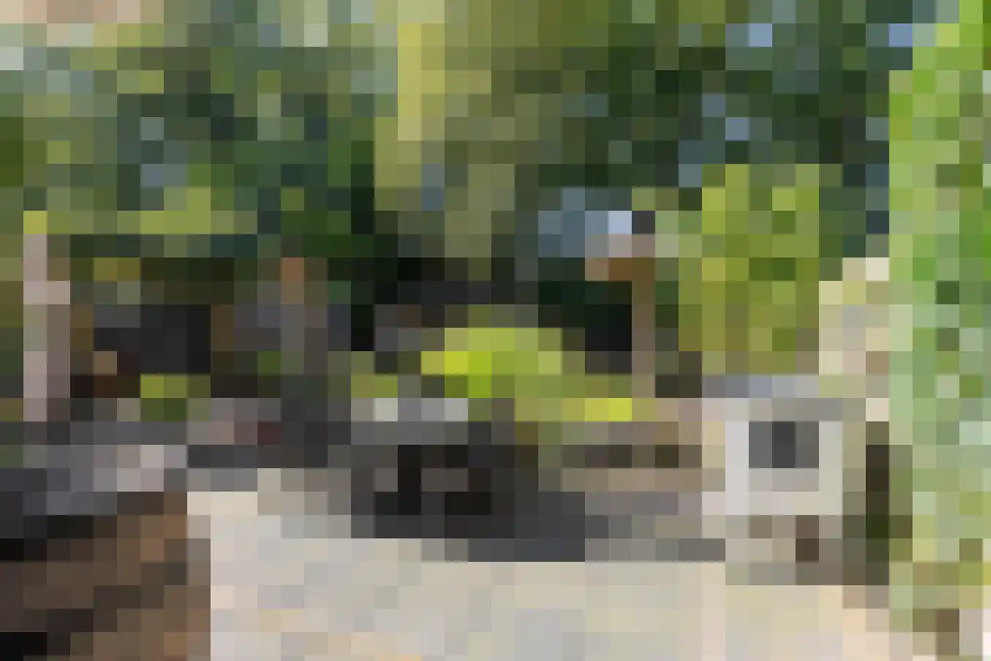Wethouder Hamsterlaan 17 Leek thumbnail 38