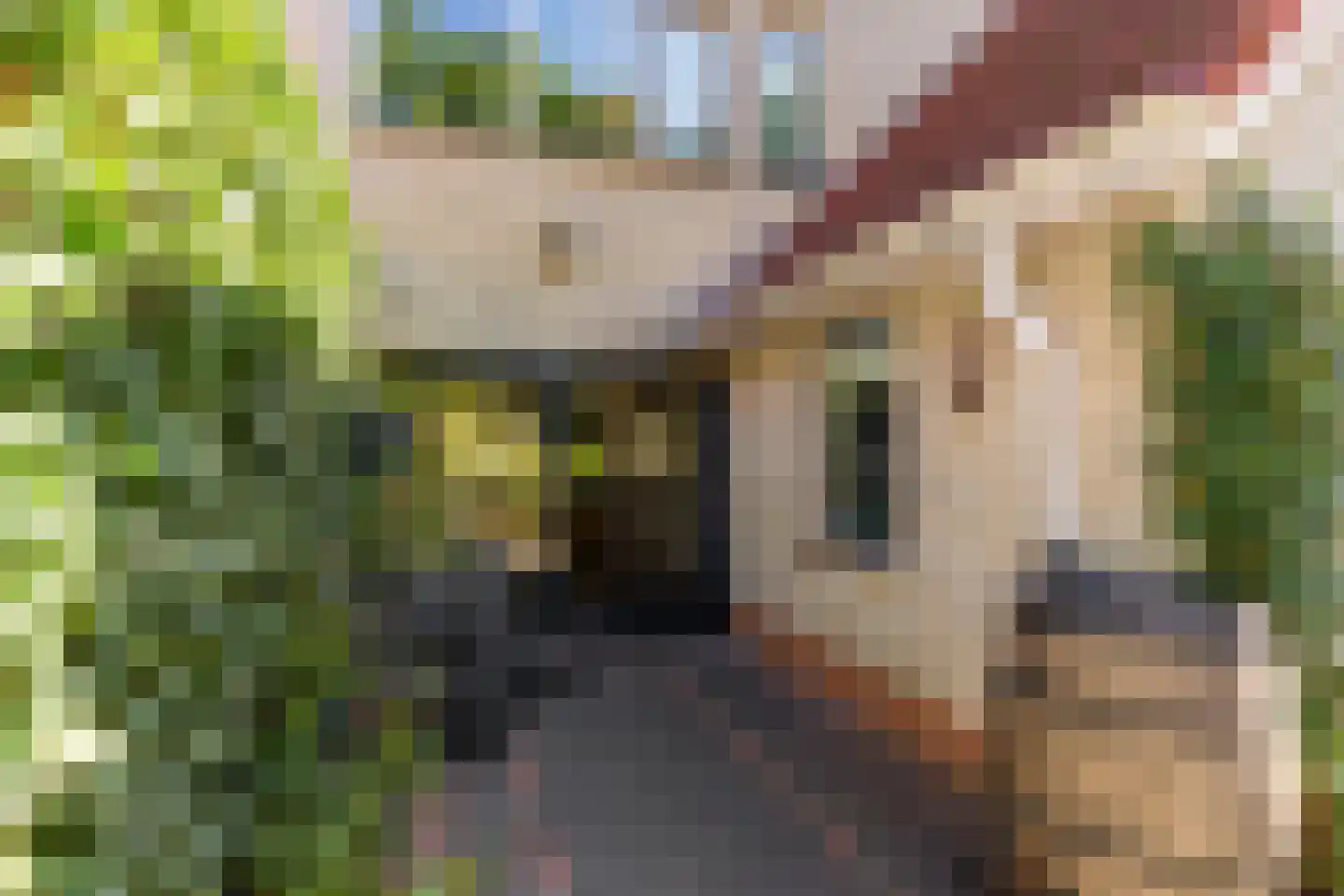 Wethouder Hamsterlaan 17 Leek thumbnail 39