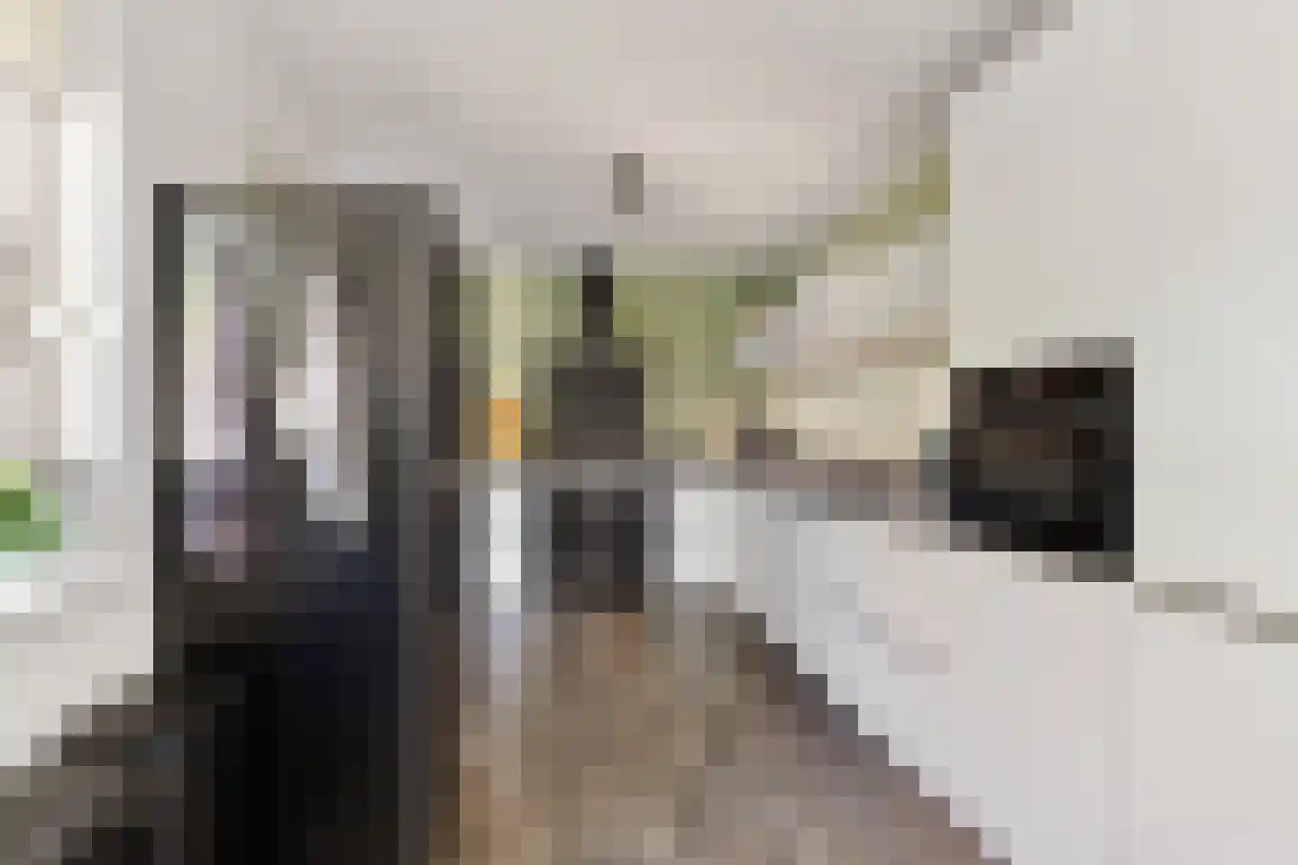Wethouder Hamsterlaan 17 Leek thumbnail 4