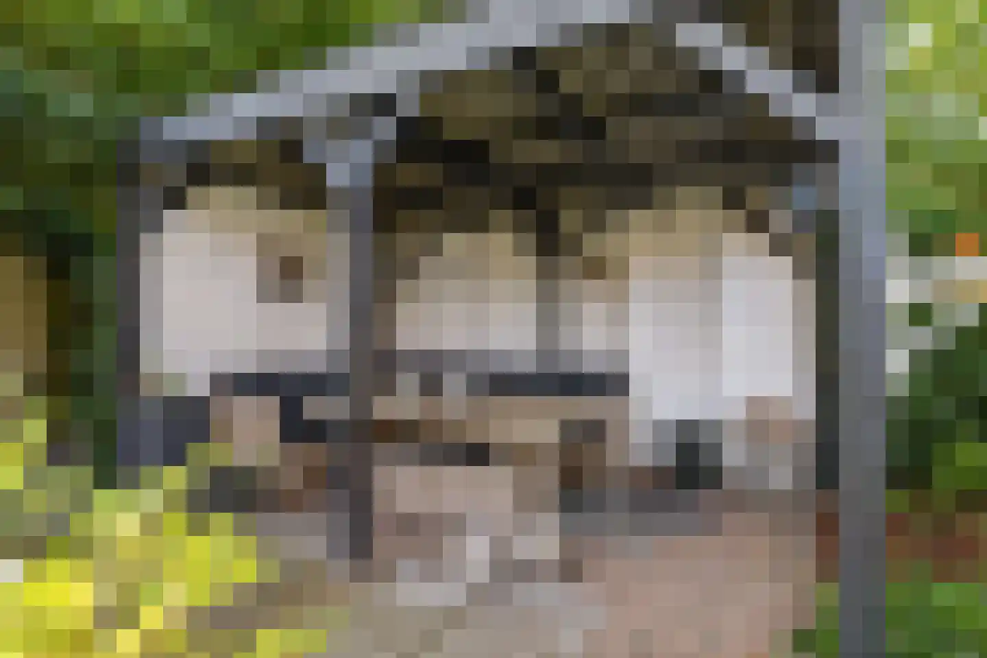 Wethouder Hamsterlaan 17 Leek thumbnail 40