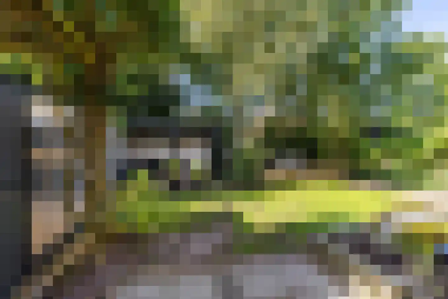 Wethouder Hamsterlaan 17 Leek thumbnail 41