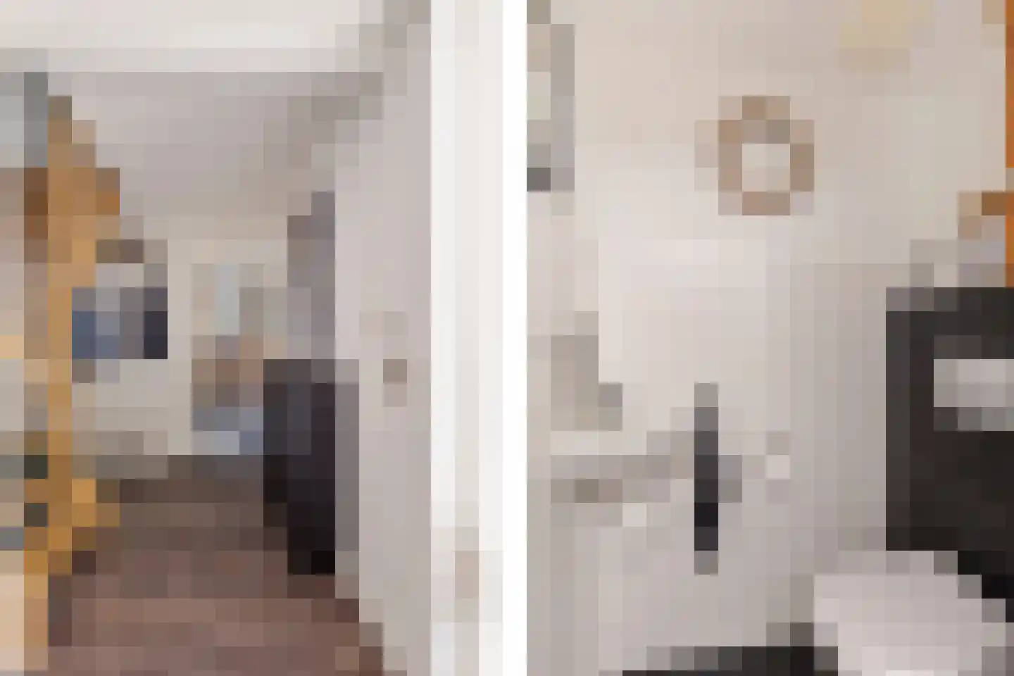 Wethouder Hamsterlaan 17 Leek thumbnail 7