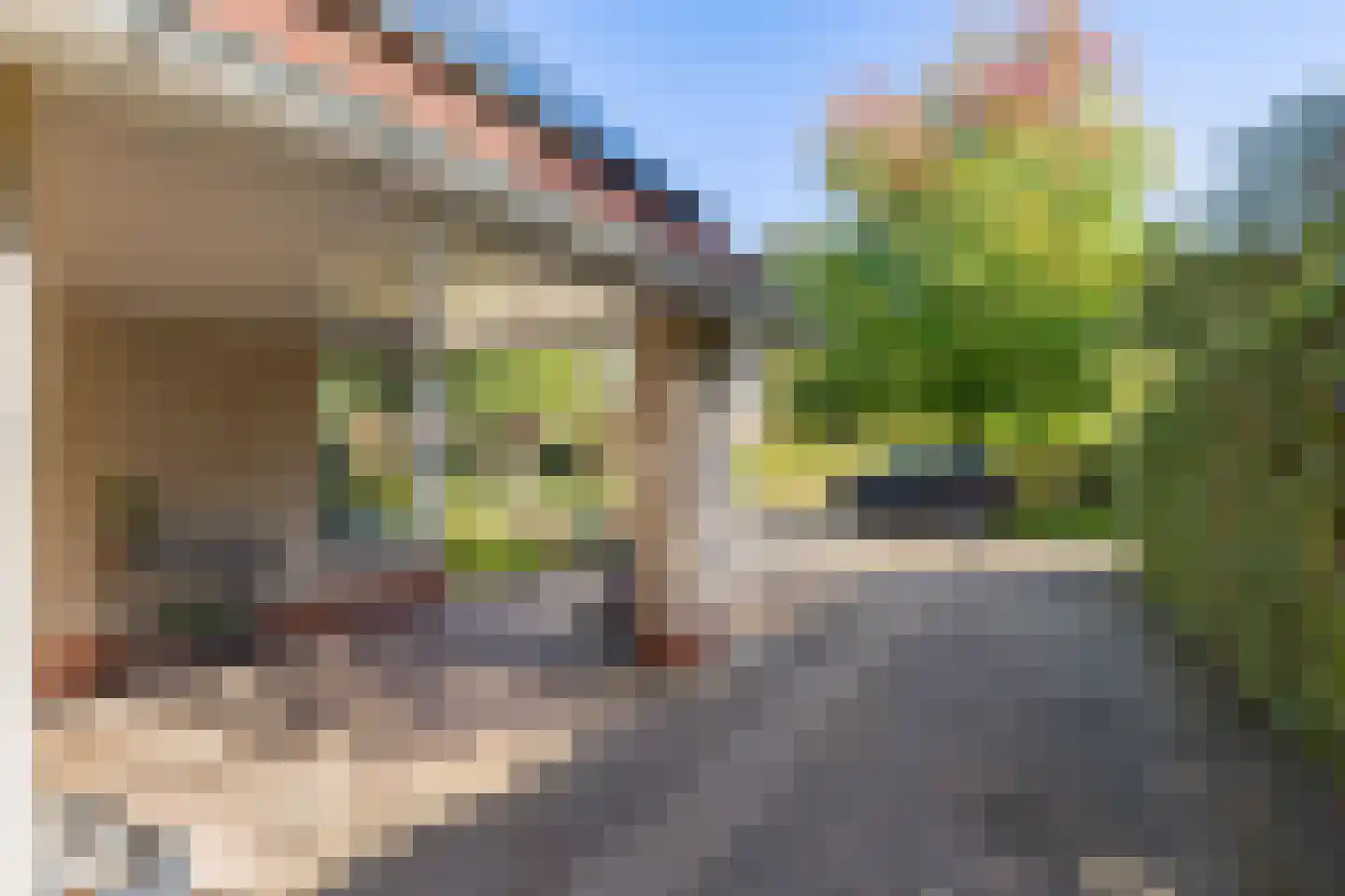 Wethouder Hamsterlaan 17 Leek thumbnail 8