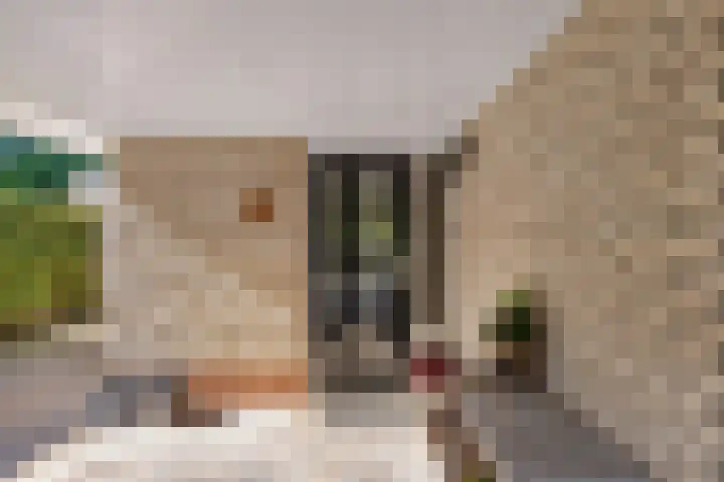 Wethouder Hamsterlaan 17 Leek thumbnail 9