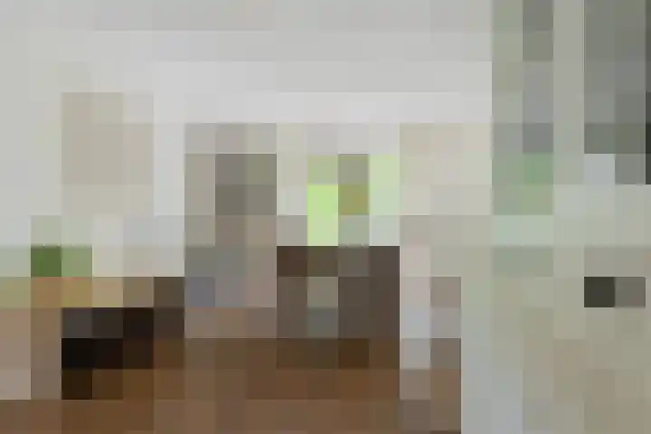 Wethouder Hamsterlaan 5 Leek thumbnail 14