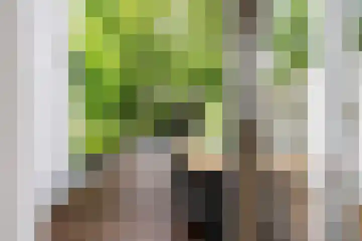 Wethouder Hamsterlaan 5 Leek thumbnail 17