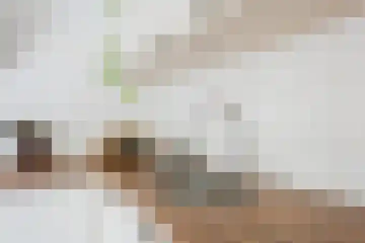 Wethouder Hamsterlaan 5 Leek thumbnail 21