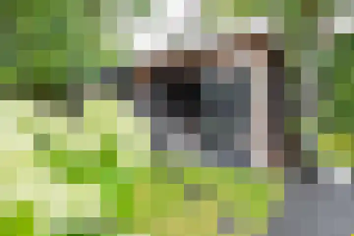 Wethouder Hamsterlaan 5 Leek foto 3