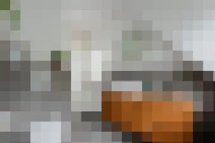 Wethouder Hamsterlaan 5 Leek thumbnail 34