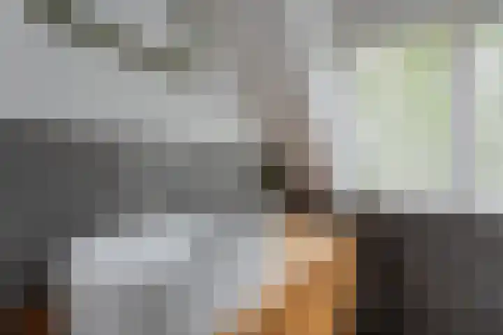 Wethouder Hamsterlaan 5 Leek thumbnail 36