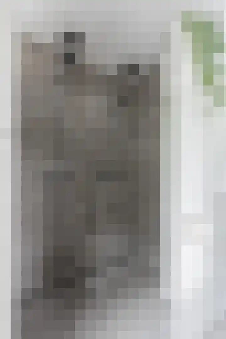 Wethouder Hamsterlaan 5 Leek thumbnail 37