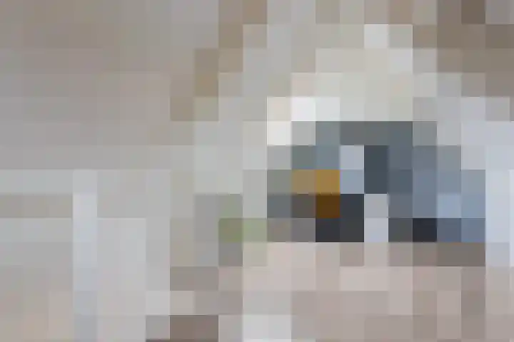 Wethouder Hamsterlaan 5 Leek thumbnail 38