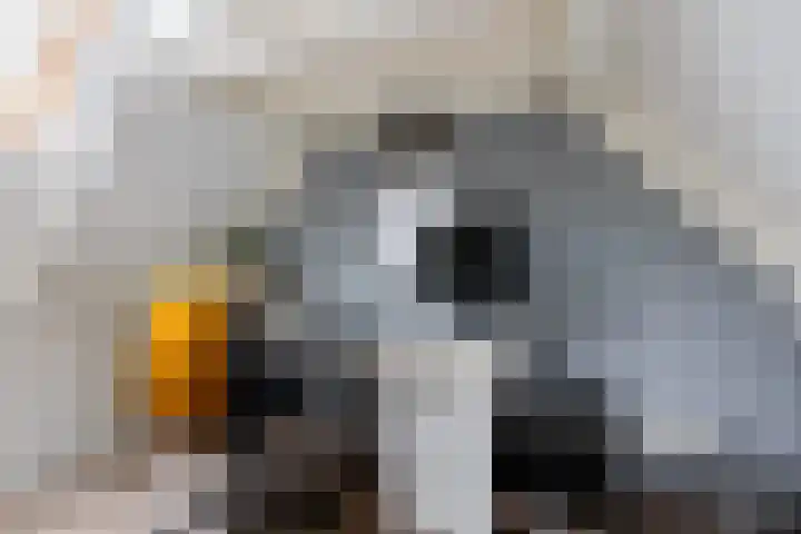 Wethouder Hamsterlaan 5 Leek thumbnail 39