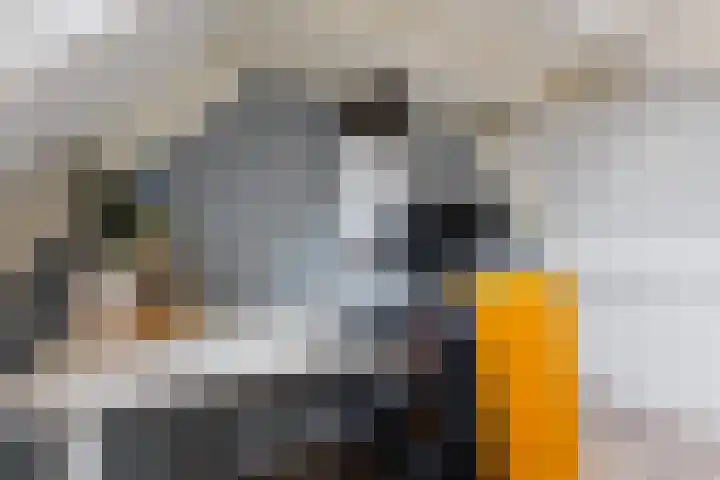 Wethouder Hamsterlaan 5 Leek thumbnail 40