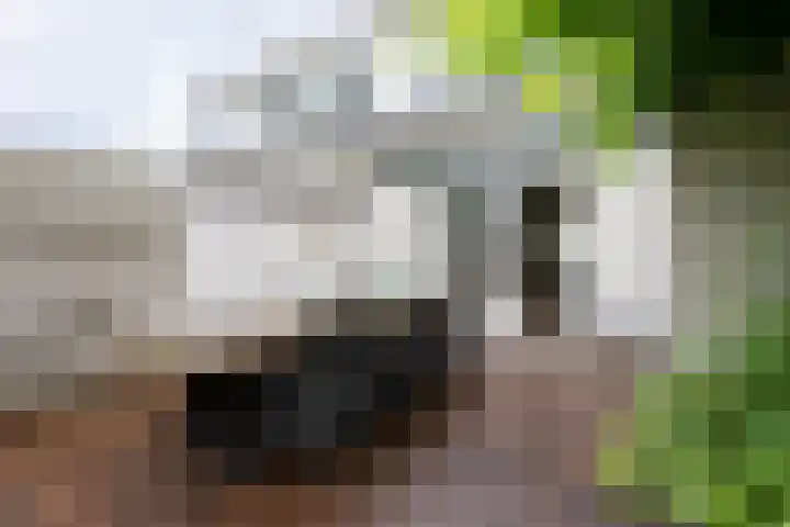 Wethouder Hamsterlaan 5 Leek thumbnail 42