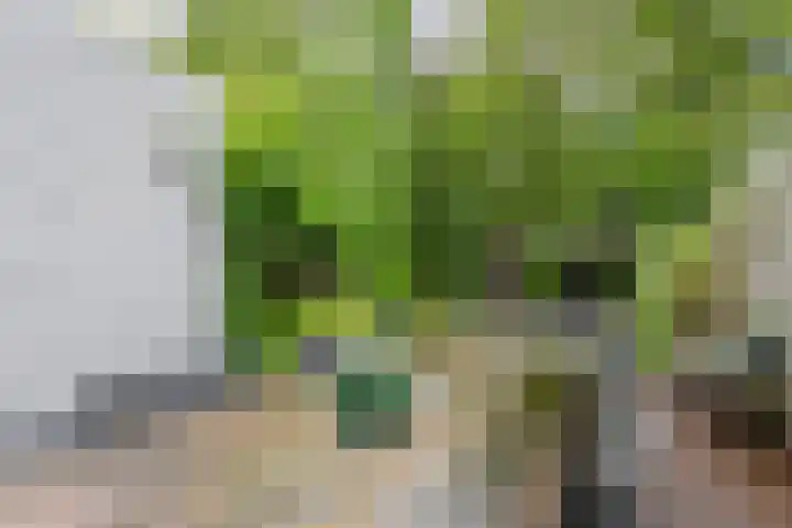 Wethouder Hamsterlaan 5 Leek thumbnail 43