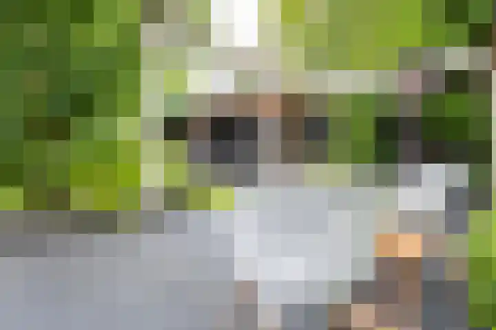 Wethouder Hamsterlaan 5 Leek thumbnail 44