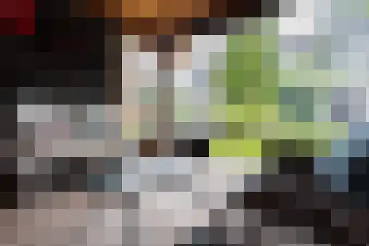 Wethouder Hamsterlaan 5 Leek thumbnail 46