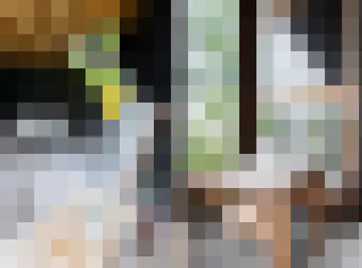 Wethouder Hamsterlaan 5 Leek thumbnail 47