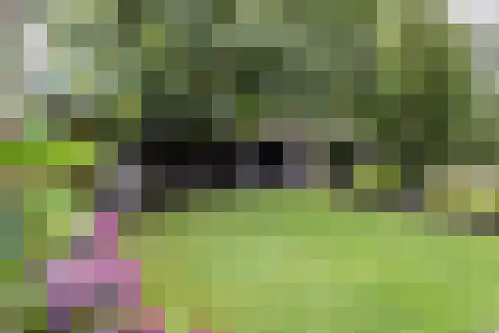 Wethouder Hamsterlaan 5 Leek thumbnail 48