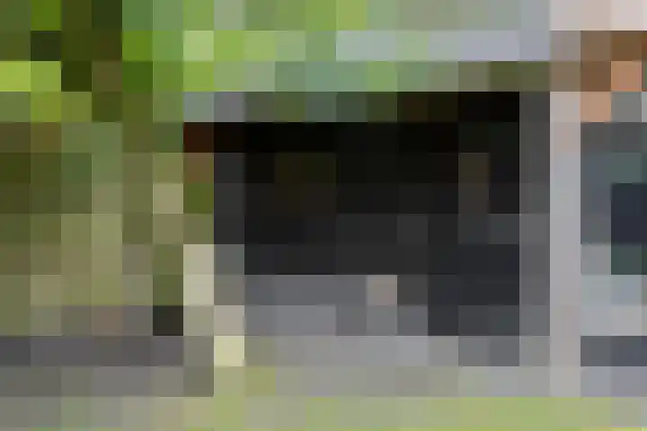 Wethouder Hamsterlaan 5 Leek thumbnail 49