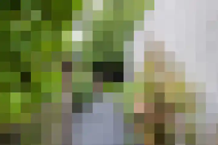 Wethouder Hamsterlaan 5 Leek thumbnail 50