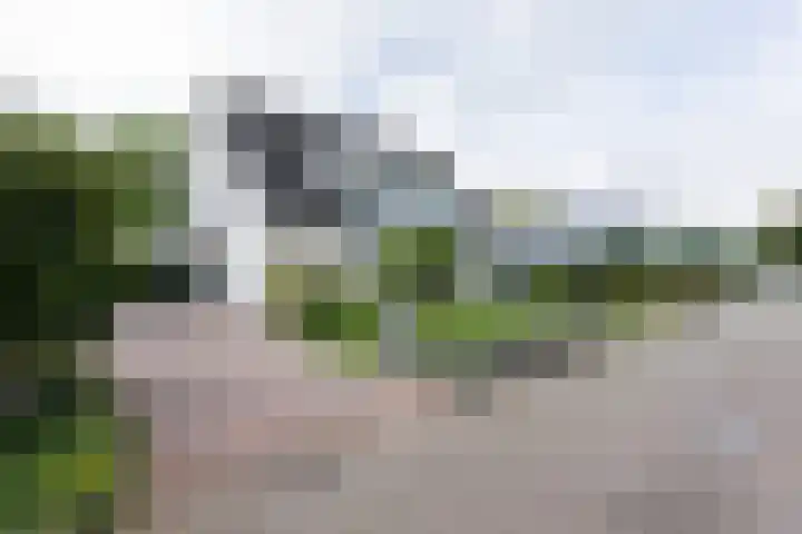 Wethouder Hamsterlaan 5 Leek thumbnail 51