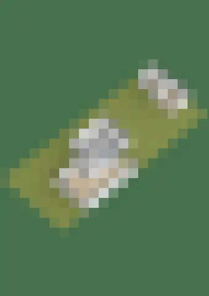 Wethouder Hamsterlaan 5 Leek thumbnail 63