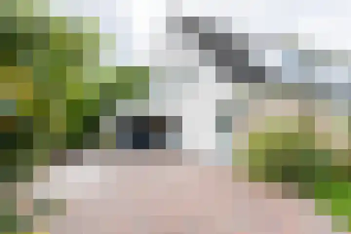 Wethouder Hamsterlaan 5 Leek thumbnail 7