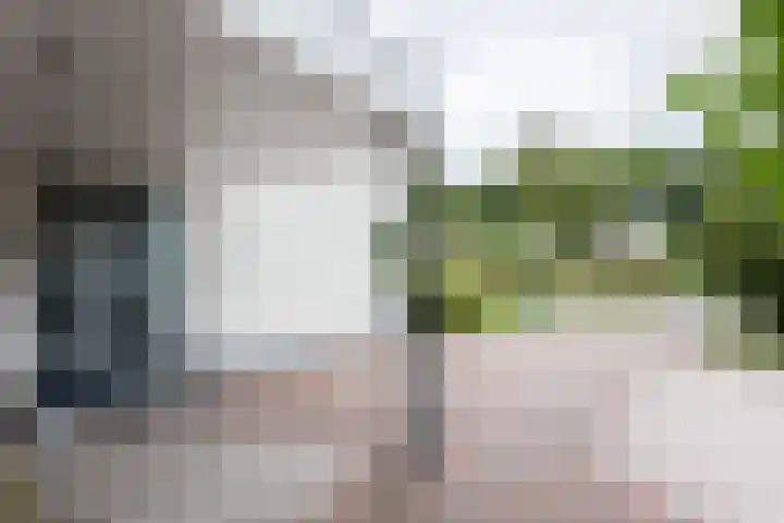 Wethouder Hamsterlaan 5 Leek thumbnail 8