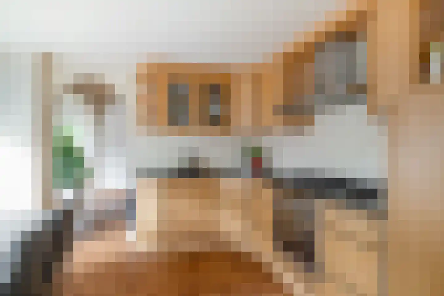 Wethouder Hassingstraat 41 Overdinkel thumbnail 18