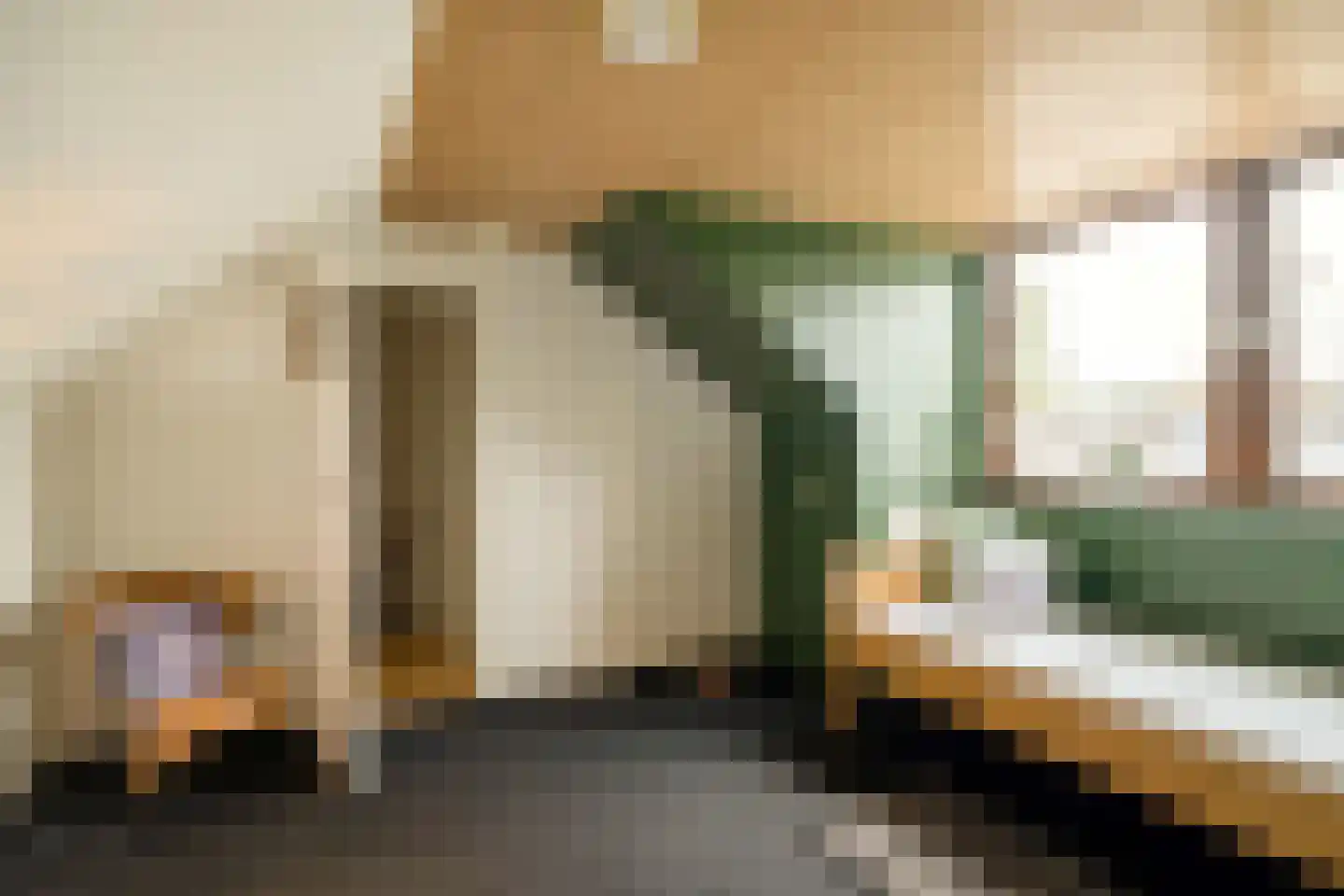 Wethouder Hassingstraat 41 Overdinkel thumbnail 31