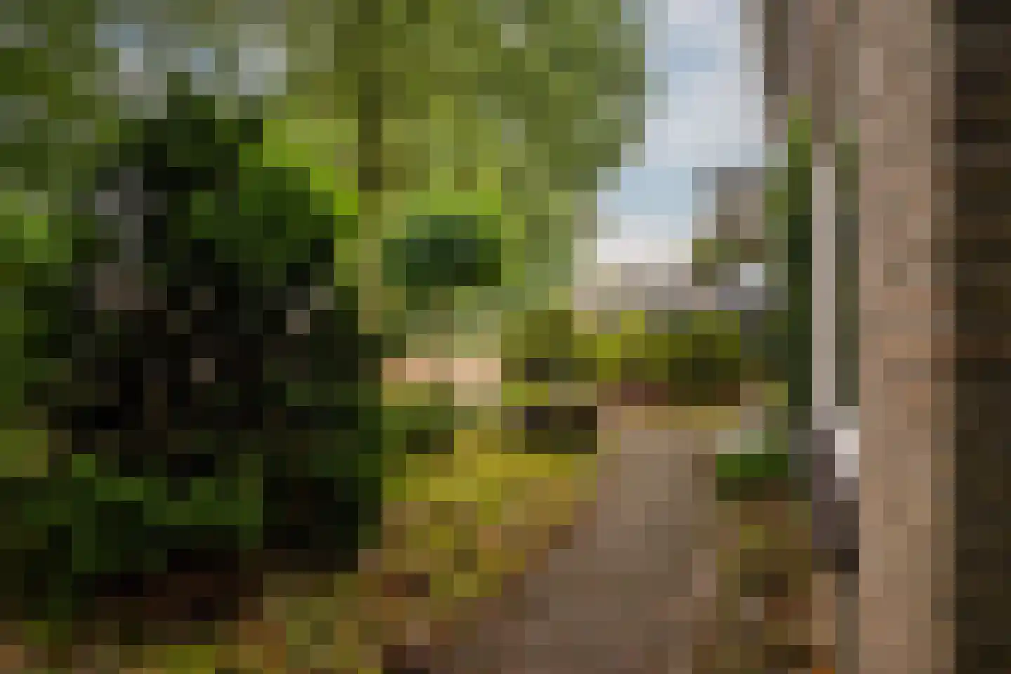 Wethouder Hassingstraat 41 Overdinkel thumbnail 42