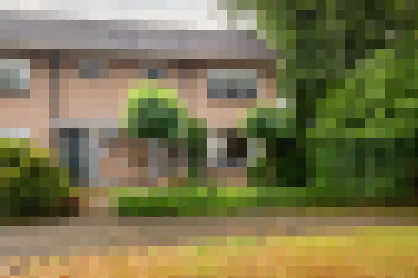 Wethouder Hassingstraat 41 Overdinkel thumbnail 5
