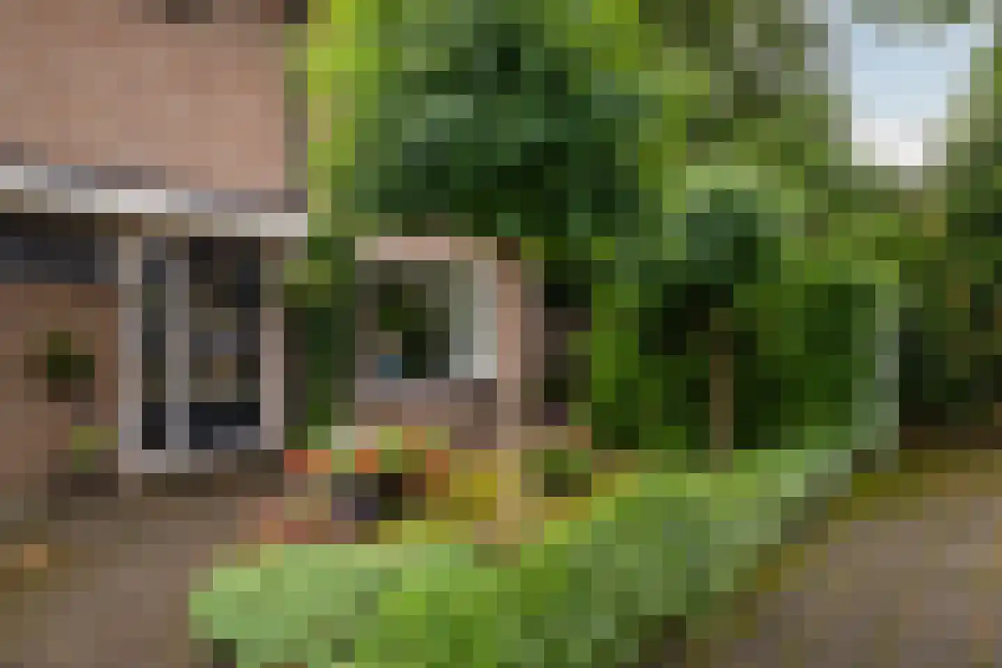 Wethouder Hassingstraat 41 Overdinkel thumbnail 6