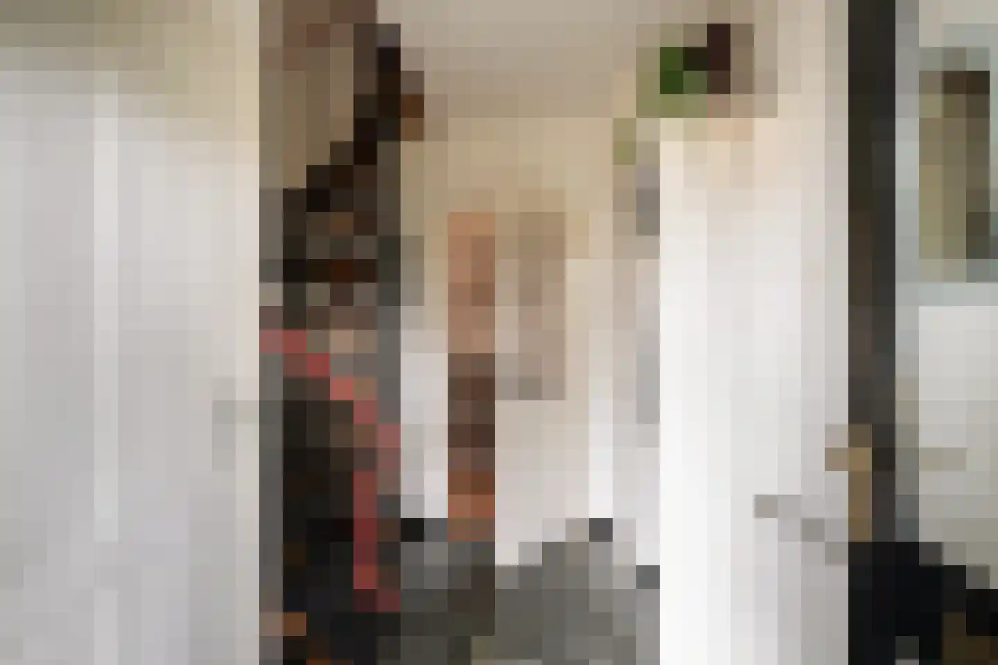 Wethouder Hassingstraat 41 Overdinkel thumbnail 7