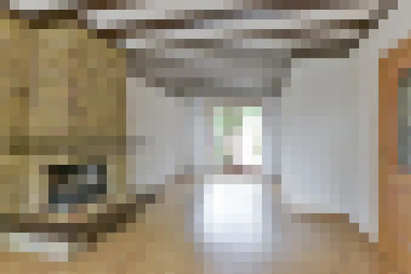 Wethouder Hollaan 26 Odijk thumbnail 10
