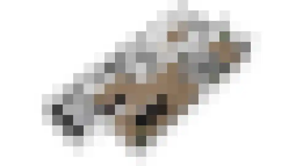 Wethouder Hollaan 26 Odijk thumbnail 10