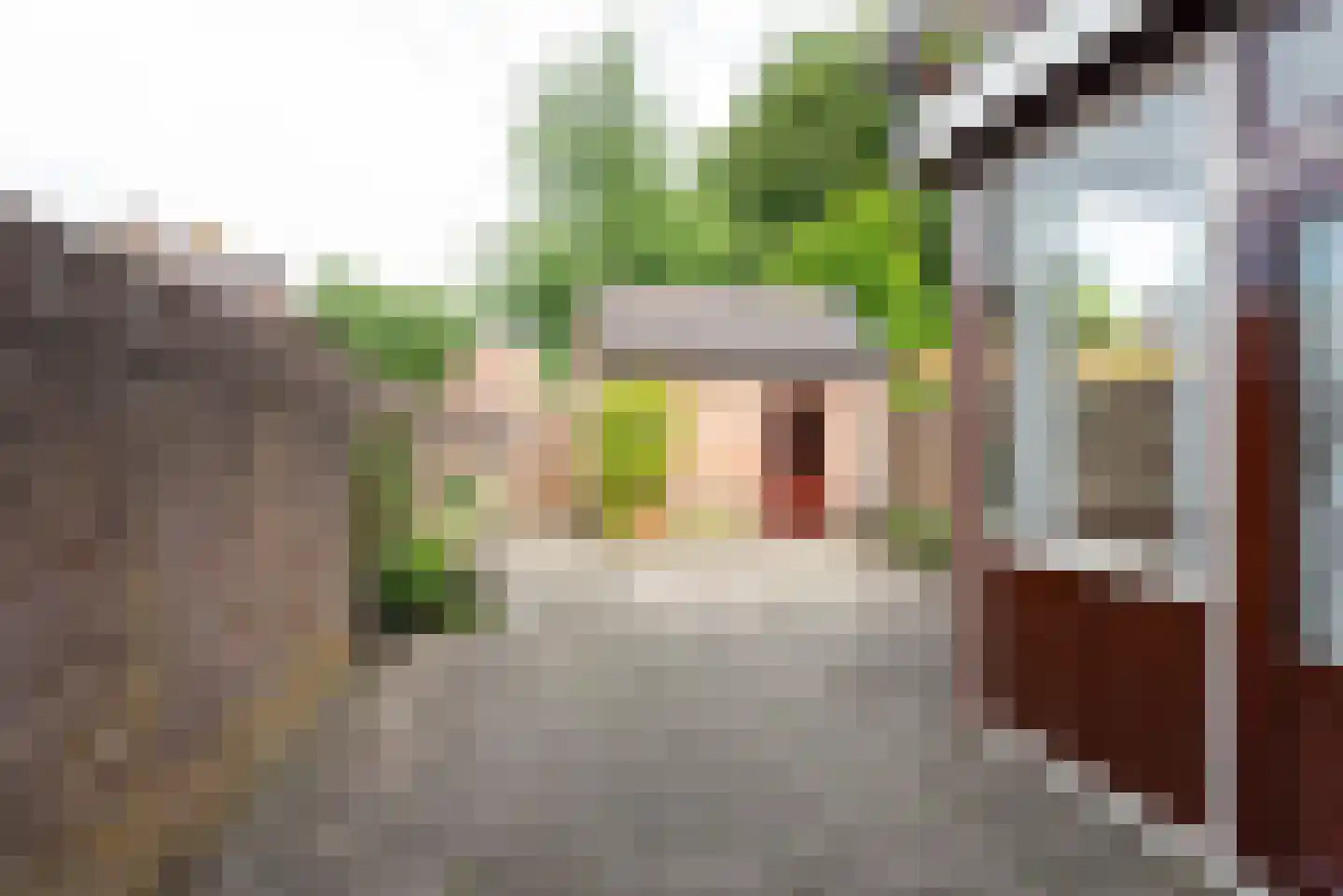 Wethouder Hollaan 26 Odijk thumbnail 17