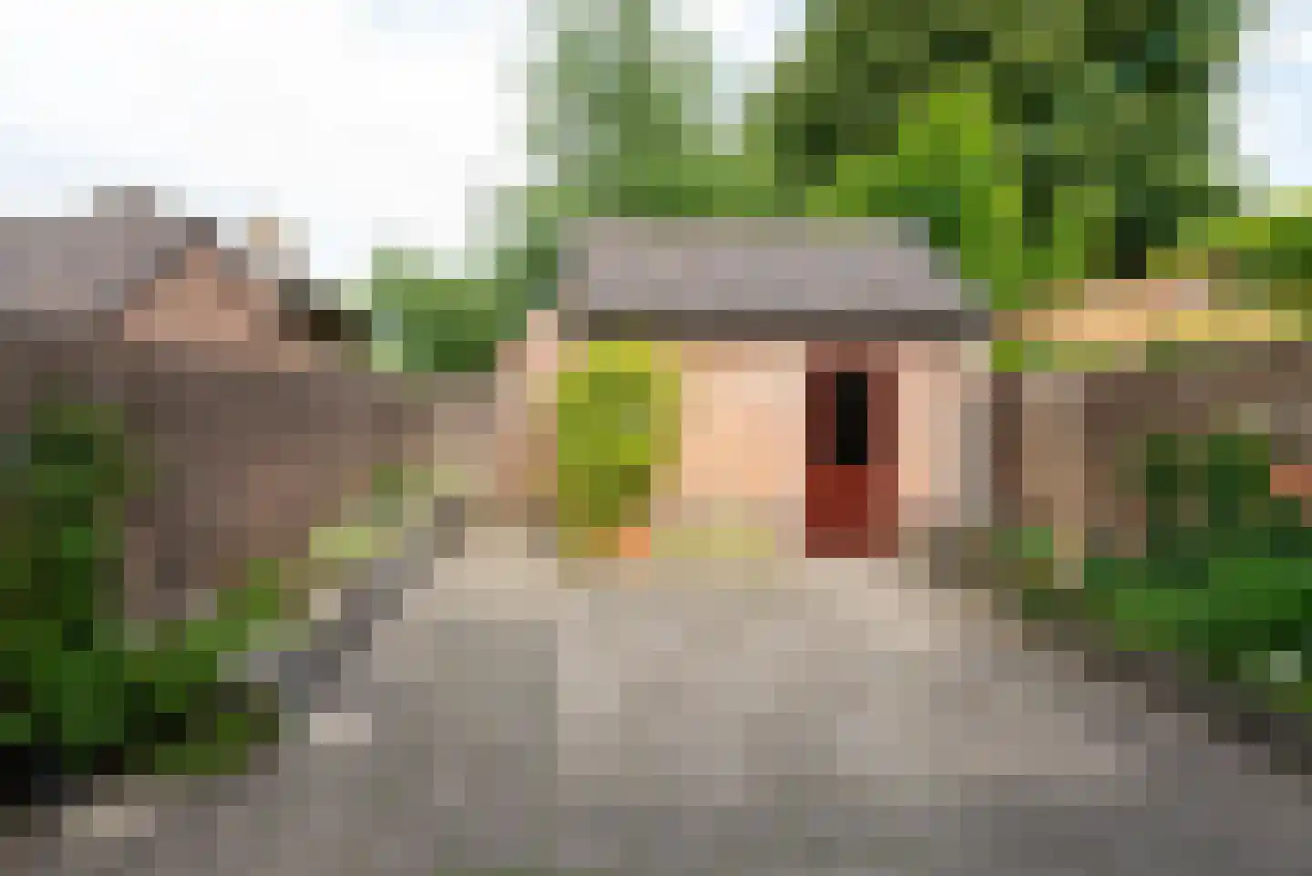 Wethouder Hollaan 26 Odijk thumbnail 18