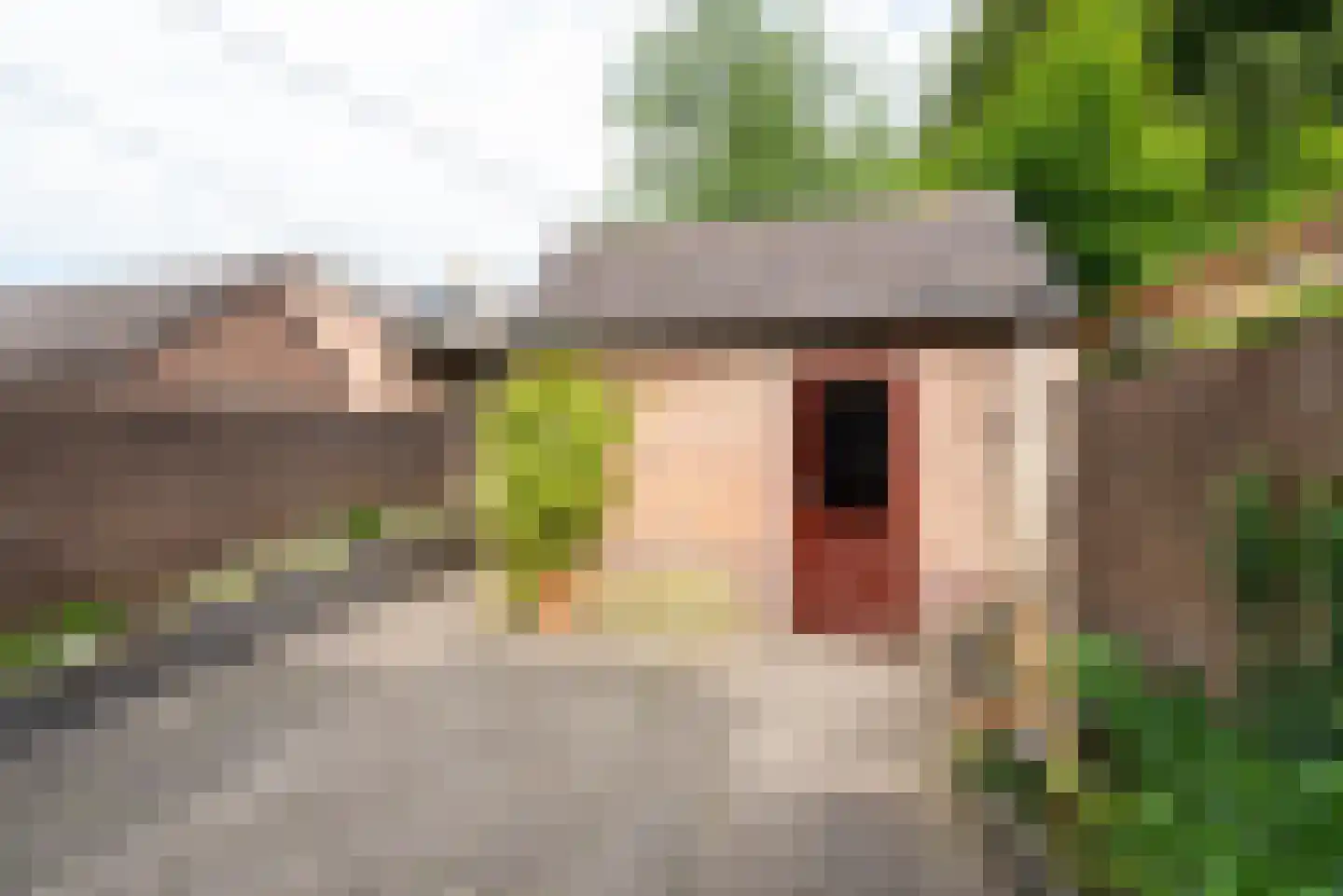 Wethouder Hollaan 26 Odijk thumbnail 19