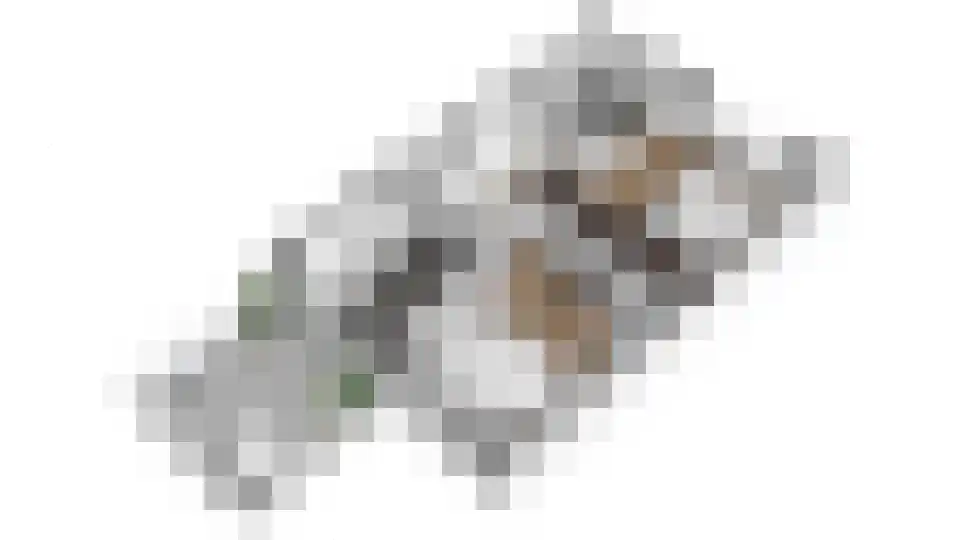 Wethouder Hollaan 26 Odijk thumbnail 28