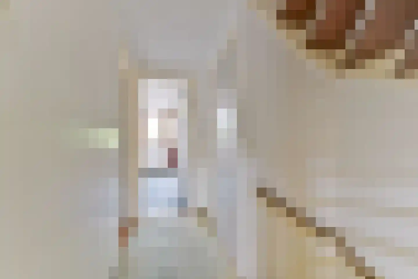 Wethouder Hollaan 26 Odijk thumbnail 29