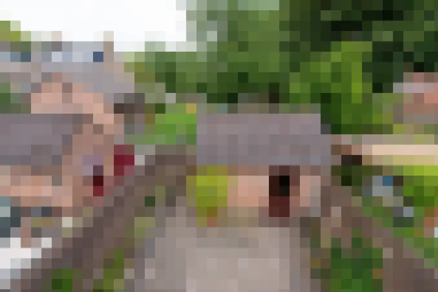Wethouder Hollaan 26 Odijk thumbnail 32