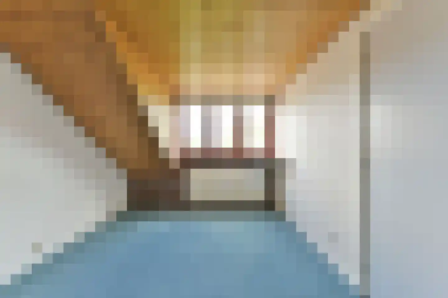 Wethouder Hollaan 26 Odijk thumbnail 39