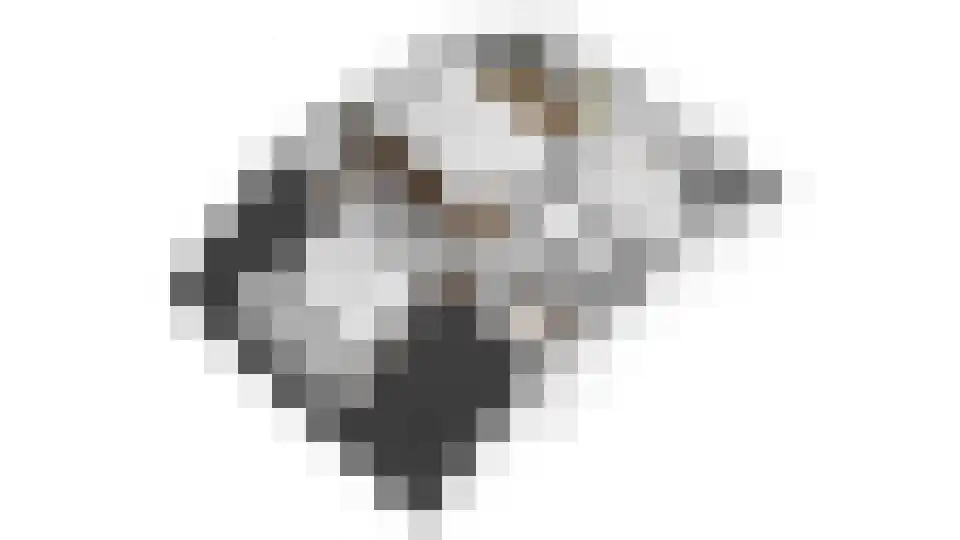 Wethouder Hollaan 26 Odijk thumbnail 40