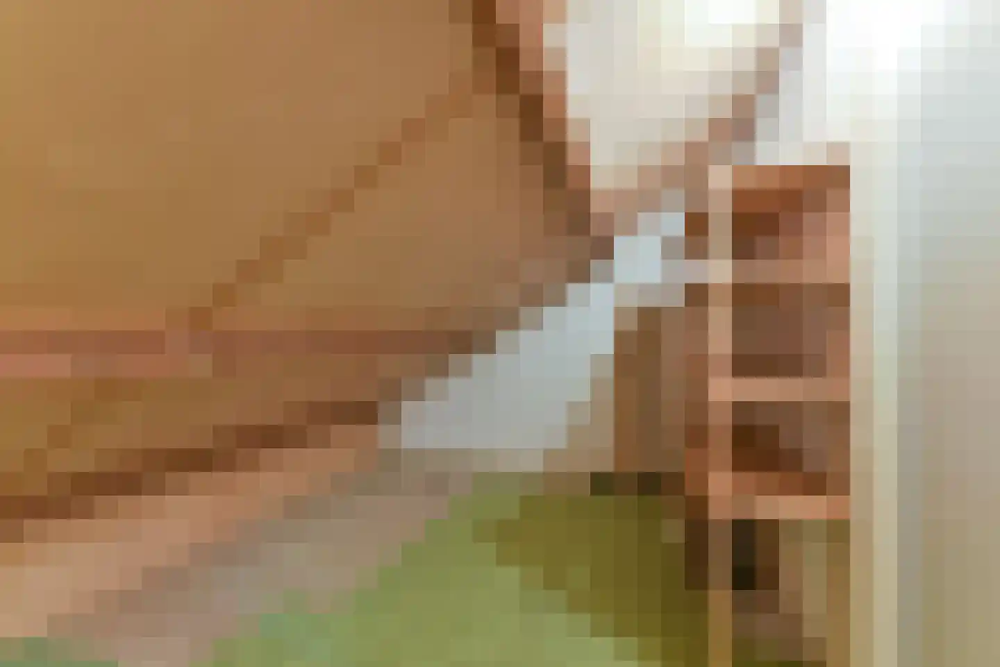Wethouder Hollaan 26 Odijk thumbnail 41