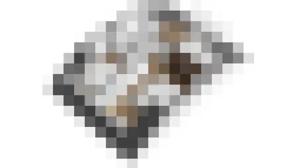 Wethouder Hollaan 26 Odijk thumbnail 43