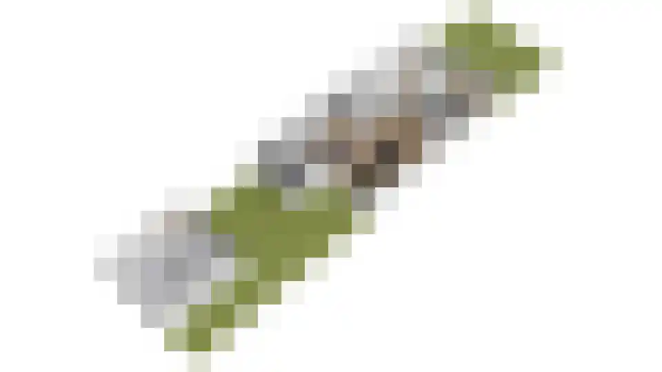 Wethouder Hollaan 26 Odijk thumbnail 49